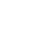 Jade Software logo white