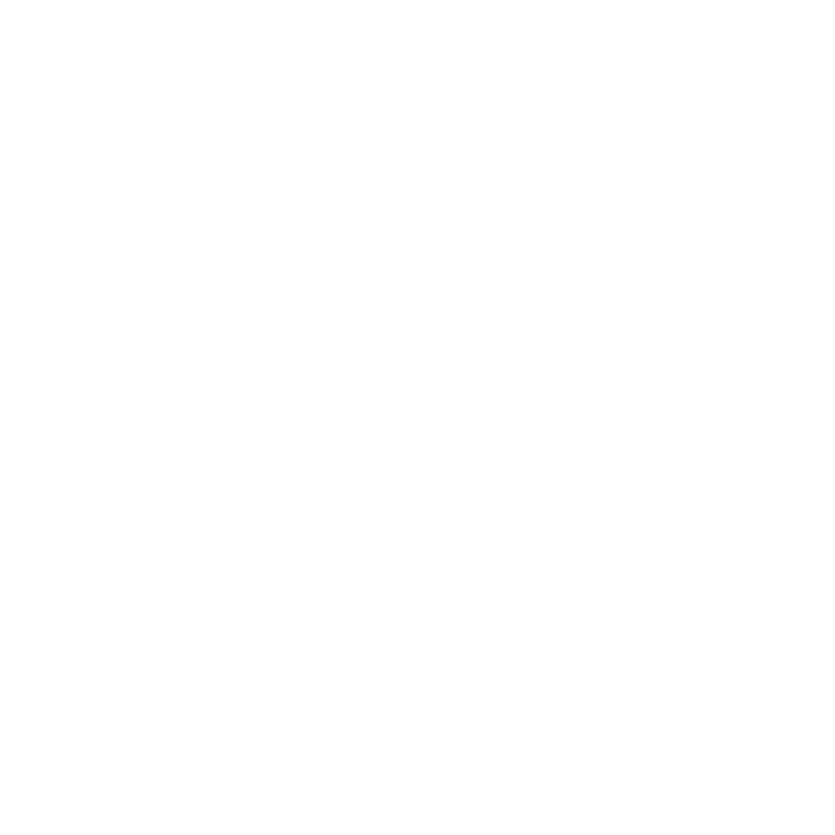 Salesforce Logo White